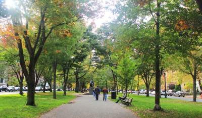 Mùa thu đã đến -  trên con đường từ Boston Public Garden đến Newbury Street 