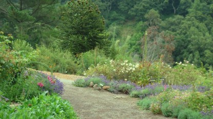 Một góc nhỏ của Berkeley Botanical Garden