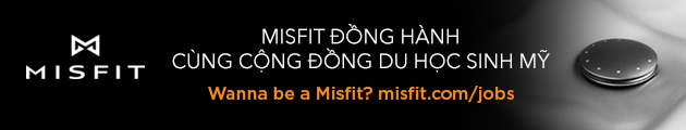 banner misfit