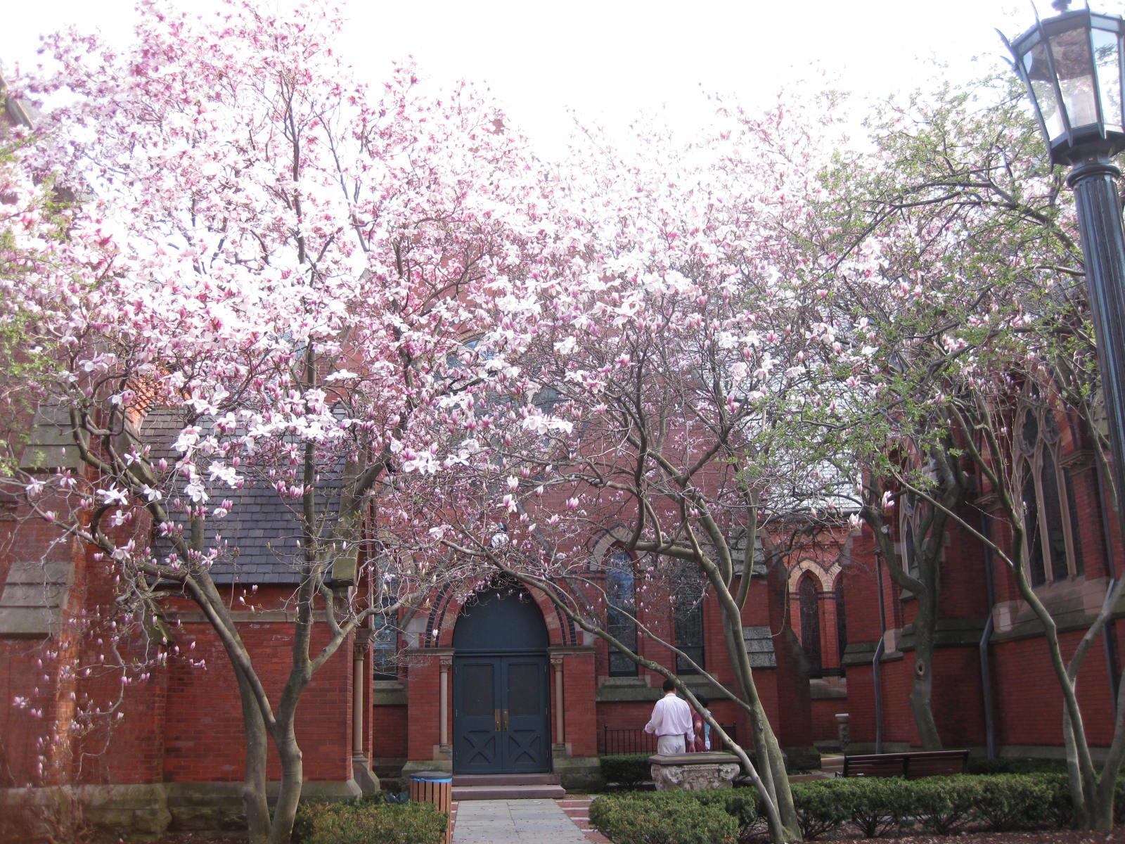 Nhà thờ trong trường Cornell.