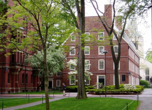 Hành trình MBA và giấc mơ Harvard