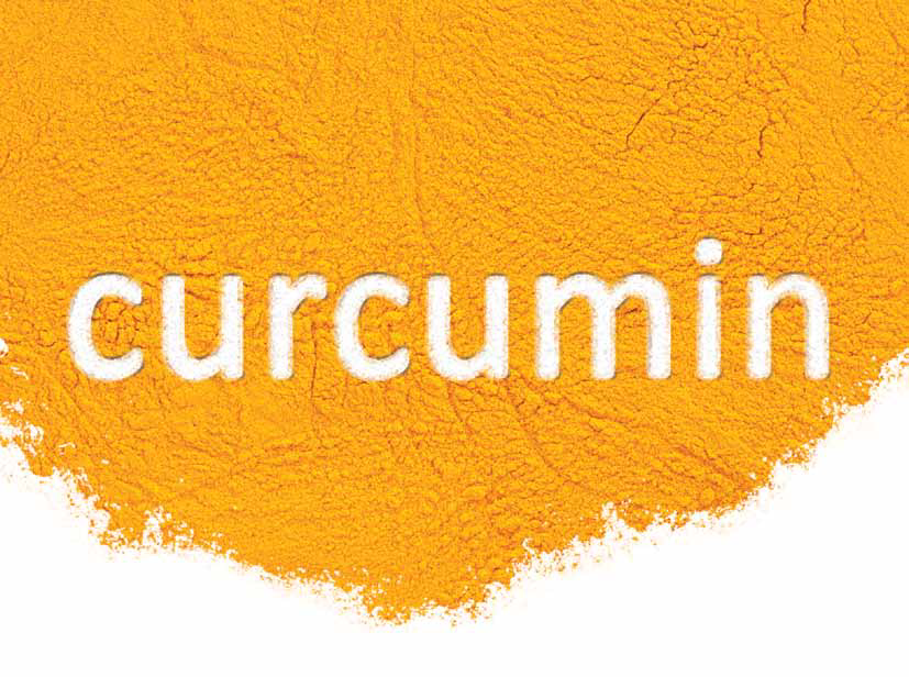 Curcumin ức chế sự kháng thuốc và di căn của tế bào ung thư